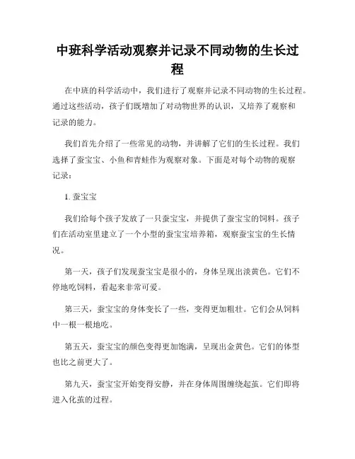 中班科学活动观察并记录不同动物的生长过程
