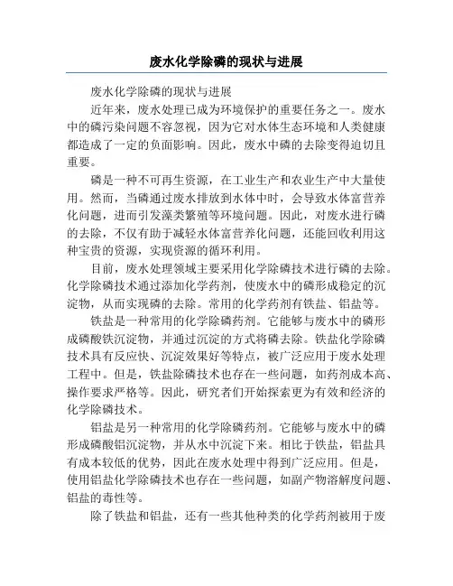 废水化学除磷的现状与进展