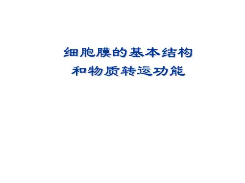 细胞膜的基本结构和物质转运功能 课件