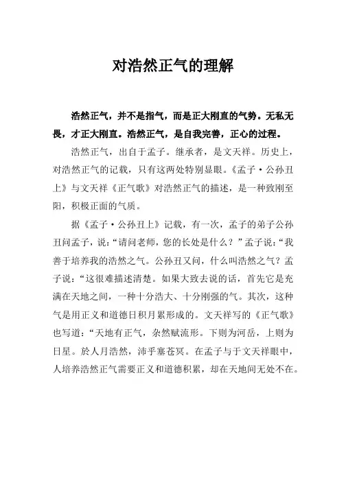 对浩然正气的理解
