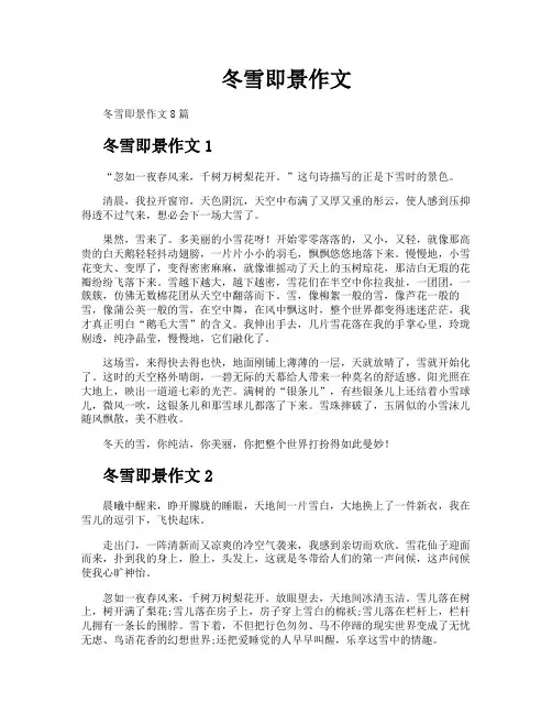 冬雪即景作文