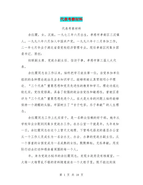 代表考察材料(完整版)
