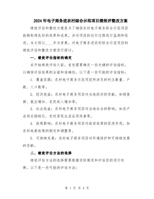 2024年电子商务进农村综合示范项目绩效评整改方案