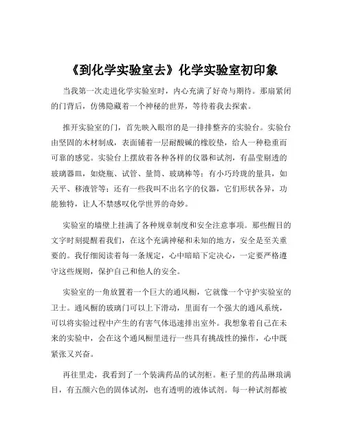 《到化学实验室去》化学实验室初印象