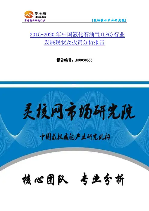 中国液化石油气(LPG)行业发展现状及投资分析报告—灵核网