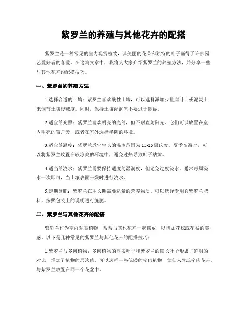 紫罗兰的养殖与其他花卉的配搭