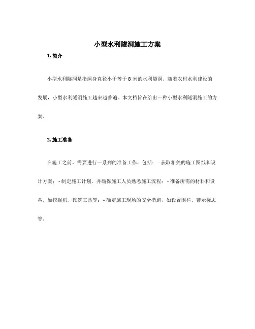 小型水利隧洞施工方案