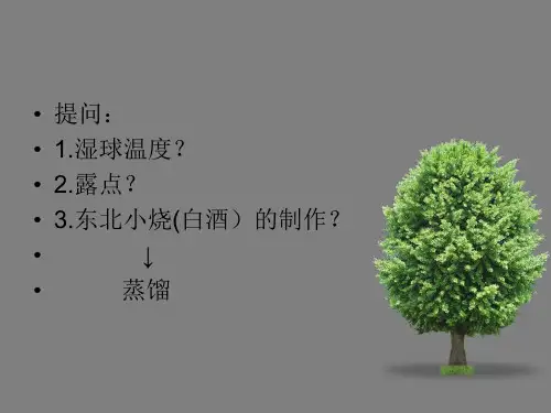 蒸馏