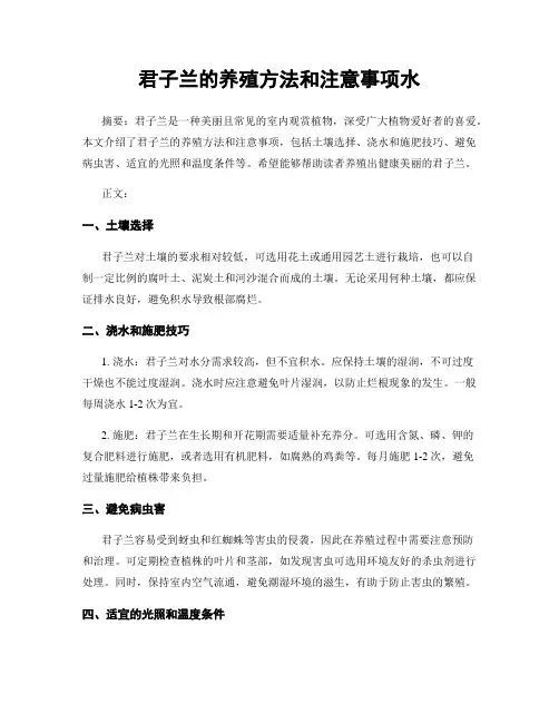 君子兰的养殖方法和注意事项水