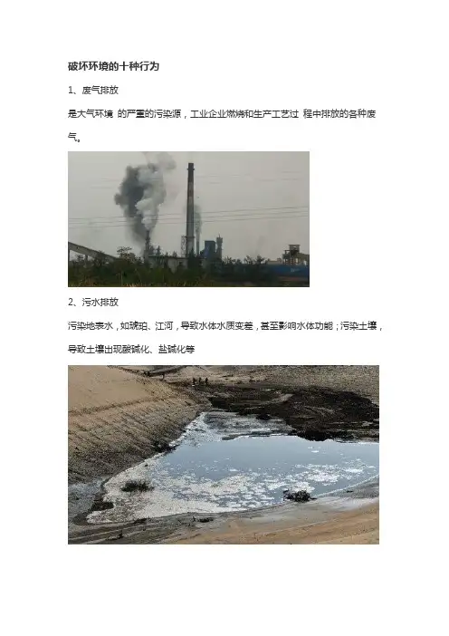 破坏环境的十种行为