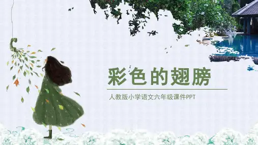 彩色的翅膀人教版小学六年级语文PPT课件