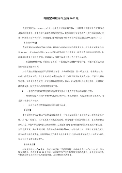 脊髓空洞症诊疗规范2023版