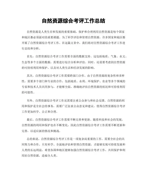 自然资源综合考评工作总结