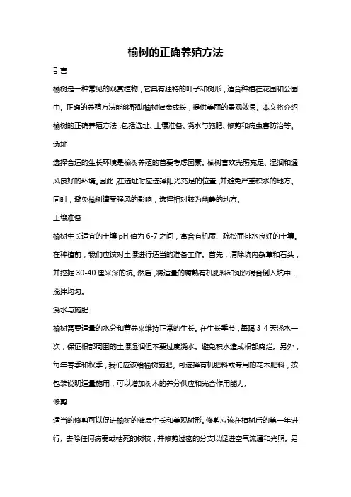 榆树的正确养殖方法