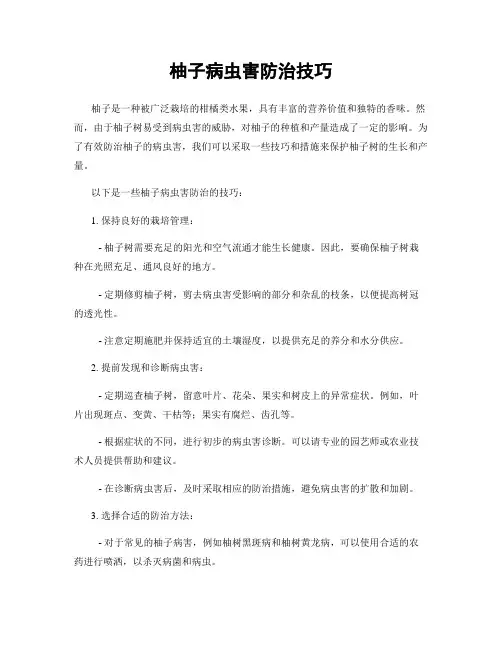 柚子病虫害防治技巧