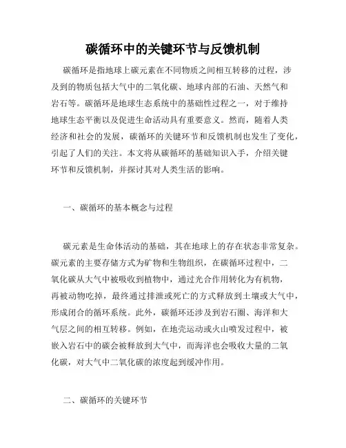 碳循环中的关键环节与反馈机制