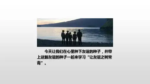 让友谊之树常青ppt课件