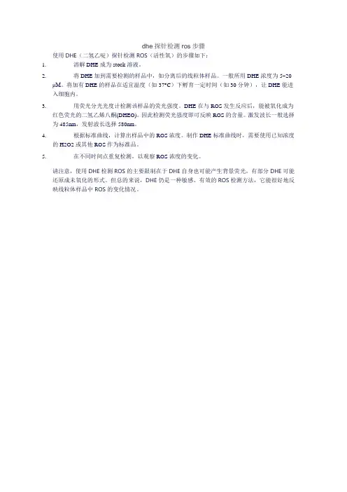 dhe探针检测ros步骤
