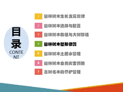 园林植物整形修剪基本技法(园林树木栽培与养护课件)