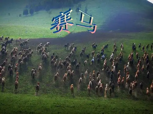 三年级上册音乐课件-赛马  (2)-人音版 (共16张PPT)