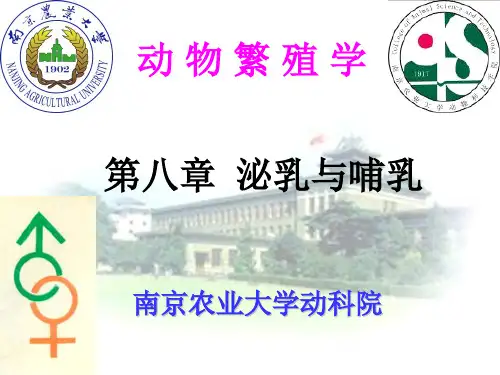 南京农业大学动物繁殖学课件ch08