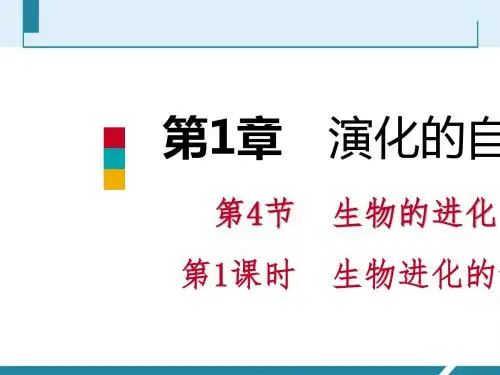 第1课时生物进化的证据及主要历程