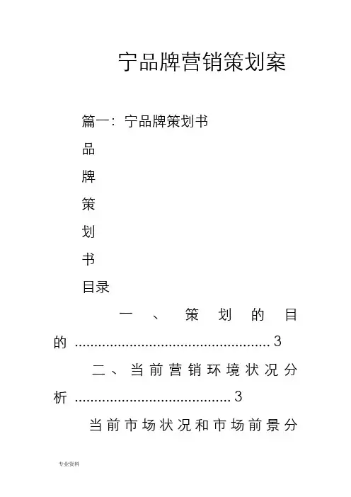 李宁品牌营销策划实施方案