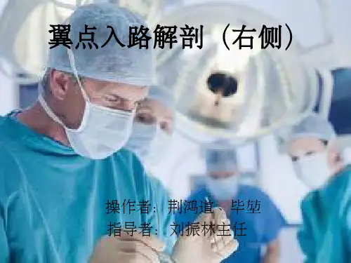 翼点入路(右侧)