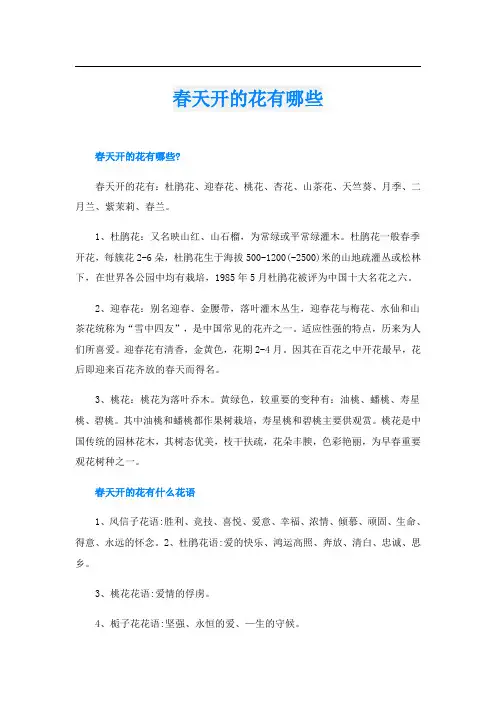 春天开的花有哪些