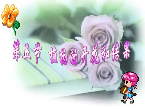 植物的开花和结果