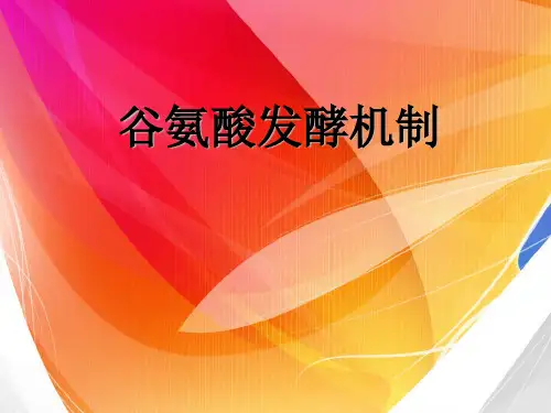 谷氨酸发酵机制