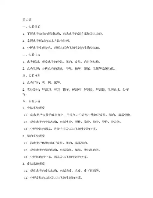 禽的解剖生理实验报告(3篇)