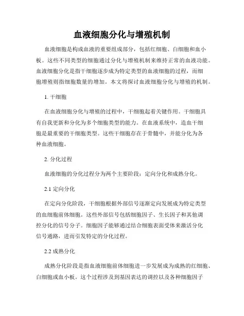 血液细胞分化与增殖机制