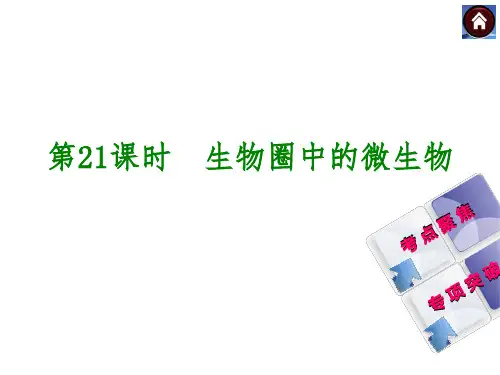 生物中考总复习课件(考点聚焦+归类探究+回归教材)：第21课时 生物圈中的微生物(共33张PPT)