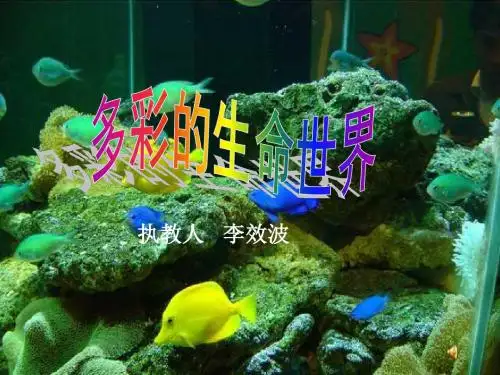 七年级政治多彩的生命世界(2019年)