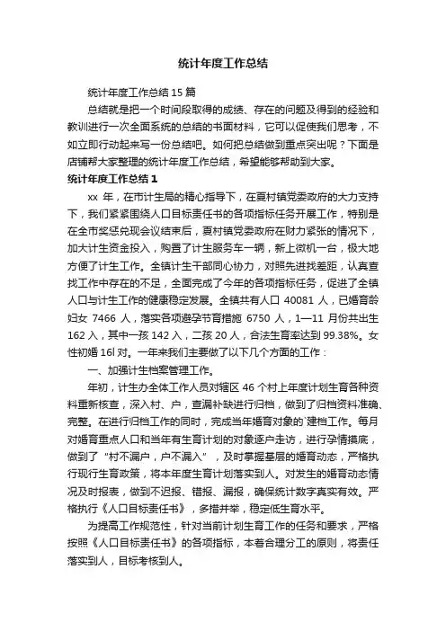 统计年度工作总结
