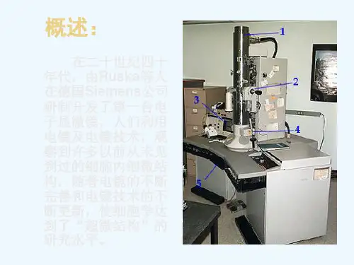 细胞超微结构