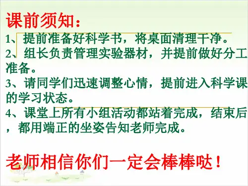 六年级上册科学-做框架-教科版(共19张)-PPT课堂课件