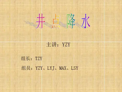 井点降水类型完整介绍(YZY)解读
