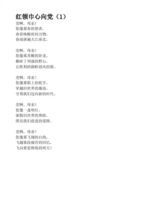 红领巾 心向党