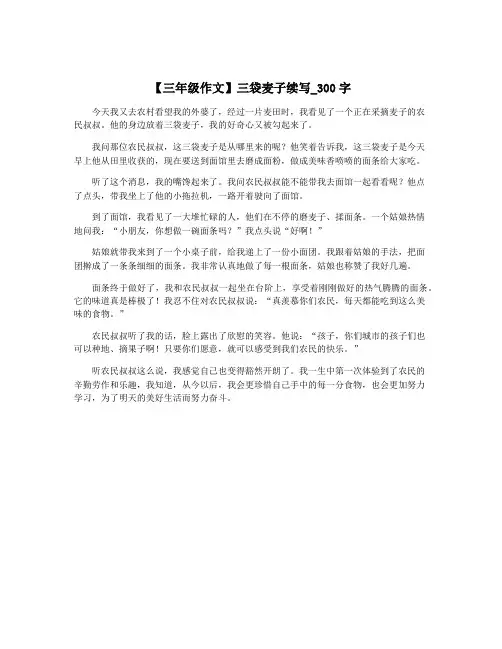 【三年级作文】三袋麦子续写_300字
