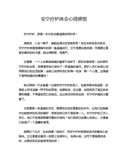 安宁疗护体会心得感悟