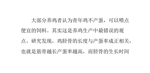 青年鸡的饲养管理要点