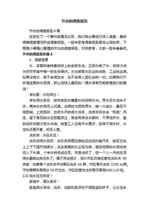 节水的调查报告6篇