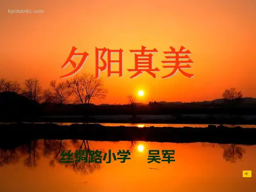 23《夕阳真美》ppt课件6