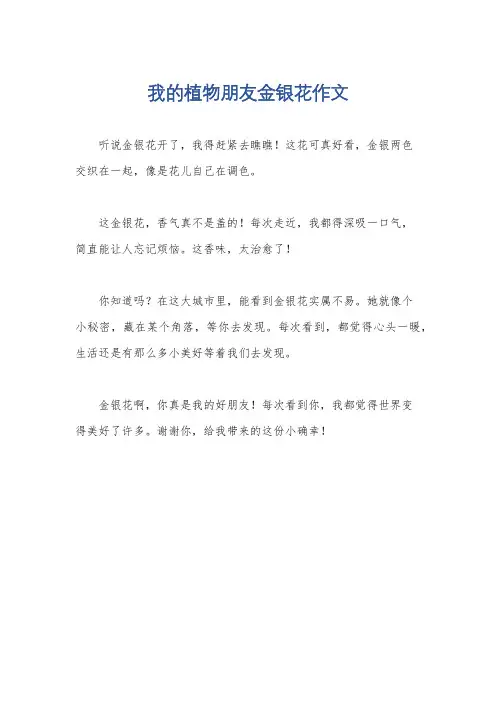 我的植物朋友金银花作文