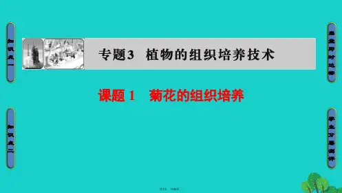 2016-2017学年高中生物专题3植物的组织培养技术课题1菊花的组织培养课件
