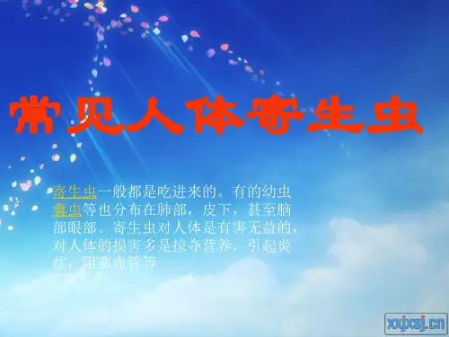 常见人体寄生虫