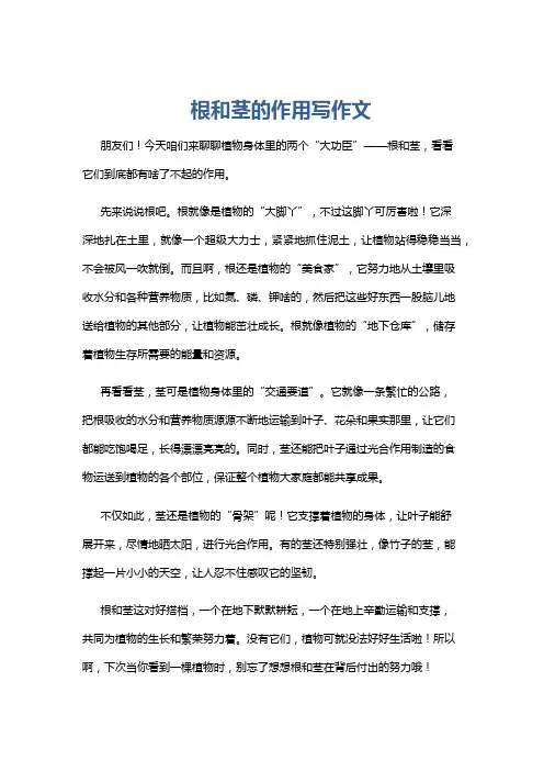 根和茎的作用写作文