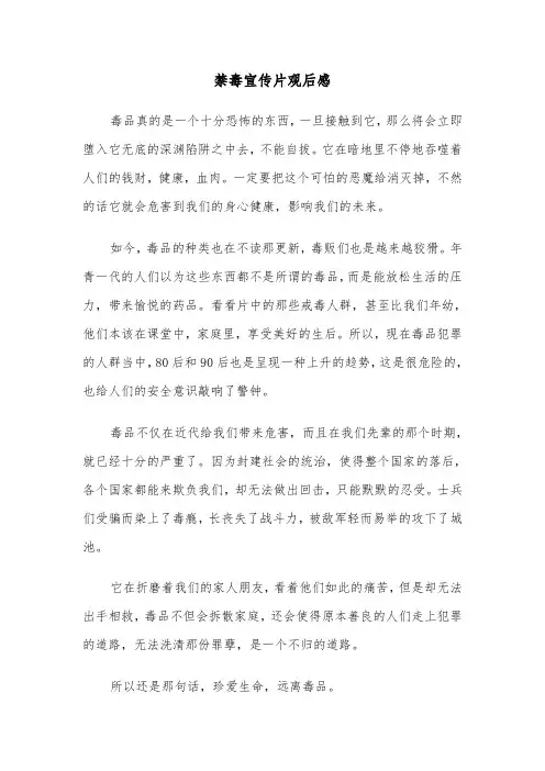 禁毒宣传片观后感（三篇）